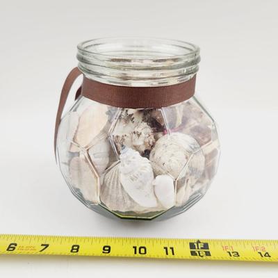 LARGE JAR OF SHELLS & SAND DOLLARS
