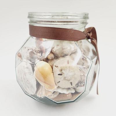 LARGE JAR OF SHELLS & SAND DOLLARS
