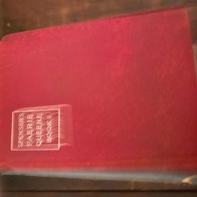 Vintage to Antique book lot