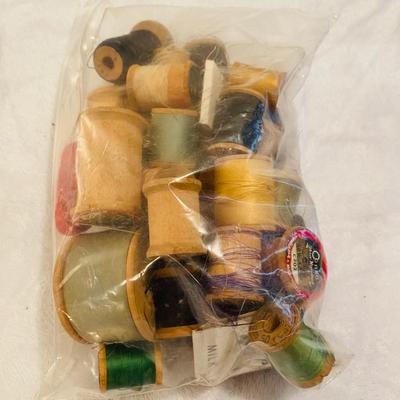 Sewing Fun (GR-SL)
