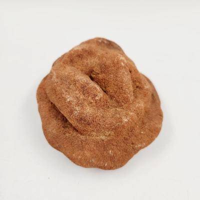 STUNNING DESERT ROSE
