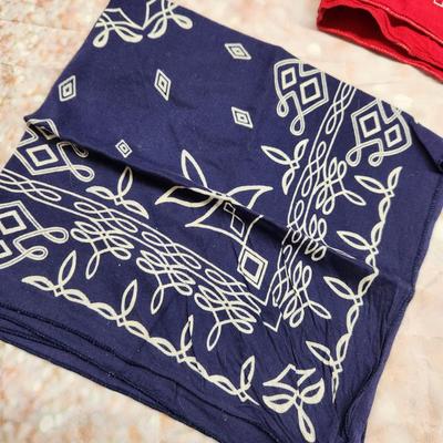 FUN BUNDLE OF KNICKERCHIEFS