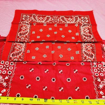 6 PC MULTI COLORED KNICKERCHIEF BUNDLE