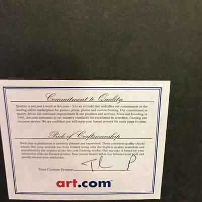 Braniff Airways Wall Art