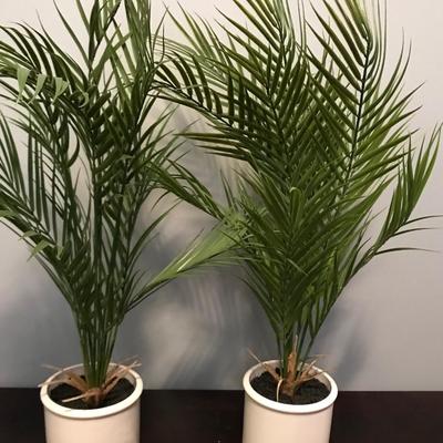 2 Fake Palm plants