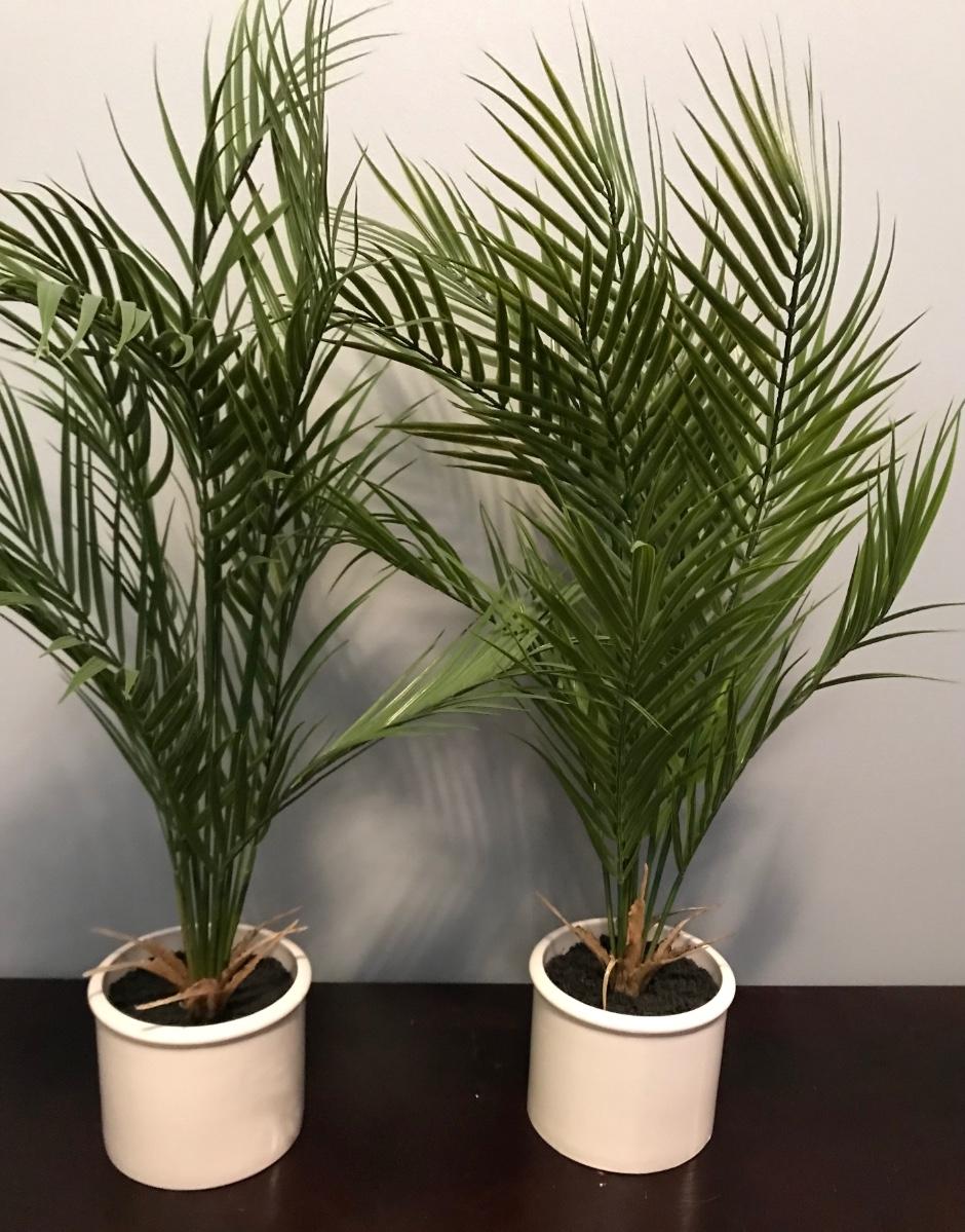 2 Fake Palm plants
