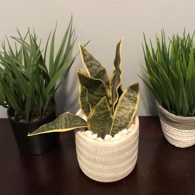 3 potted fake greenery