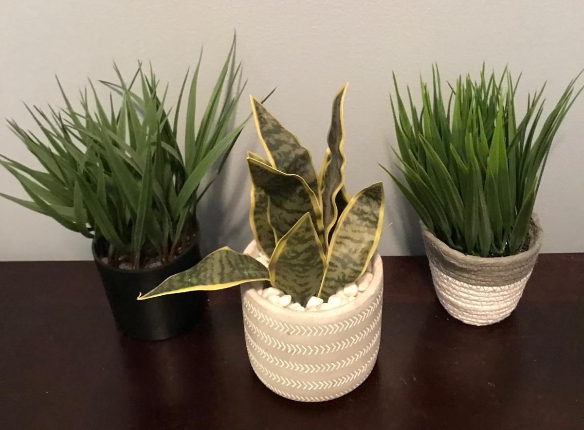 3 potted fake greenery