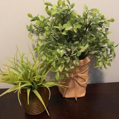 Greenery for Decorating and color