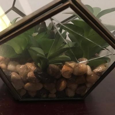 Glass terrarium with fake plants