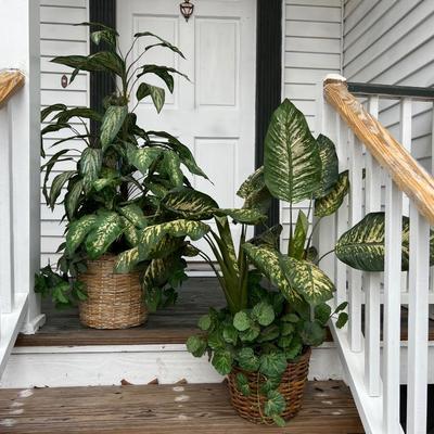 Set Of 2 Faux Plants