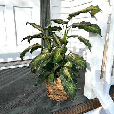 Faux Plants Set of 2