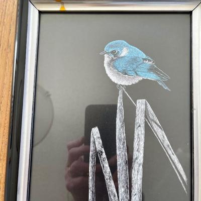 Framed Scratchboard Art Blue Birds on Grass by Artist Gregg Murray