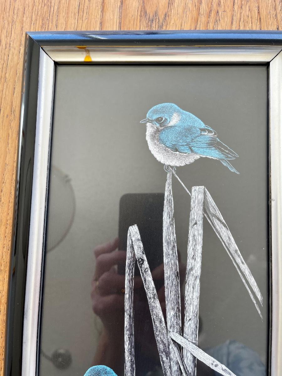 Framed Scratchboard Art Blue Birds on Grass by Artist Gregg Murray