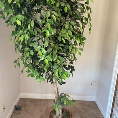 Tall artificial ficus tree in fish bowl planter