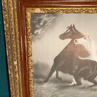 Vintage Horse Picture