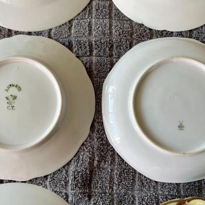 Lot of 6" Inch Vintage German, Austrian and Japanese Hand Painted Decorative Floral Plates