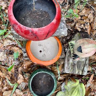 Outdoor Garden