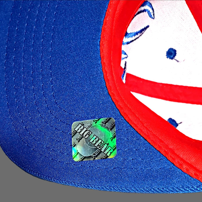 2 Snapback Baseball Hats (new)