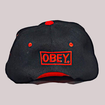 2 Snapback Baseball Hats (new)