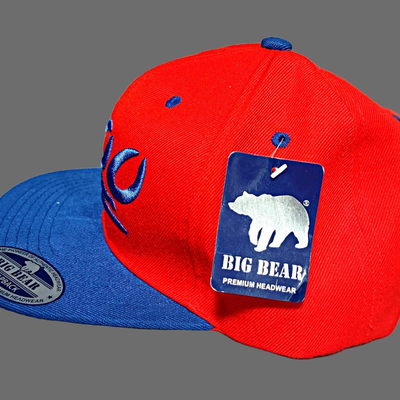 2 Snapback Baseball Hats (new)