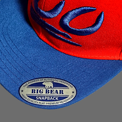 2 Snapback Baseball Hats (new)