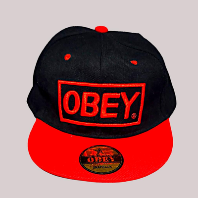2 Snapback Baseball Hats (new)