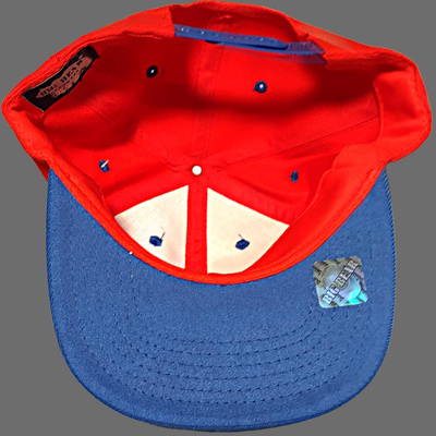2 Snapback Baseball Hats (new)
