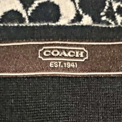 2 Coach Scarves