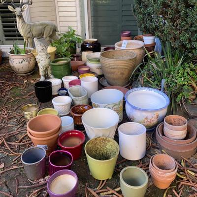 Large garden lot