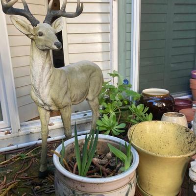 Large garden lot
