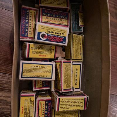 22 long ammo