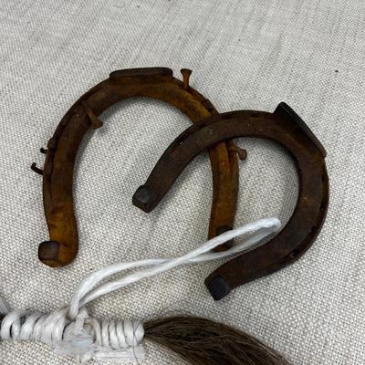 Couple of Horse Shoes and Horse Tail Hair