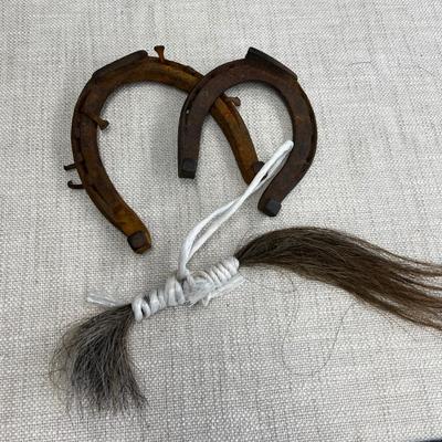 Couple of Horse Shoes and Horse Tail Hair