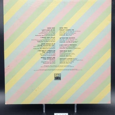 Marvin Gaye Vinyl