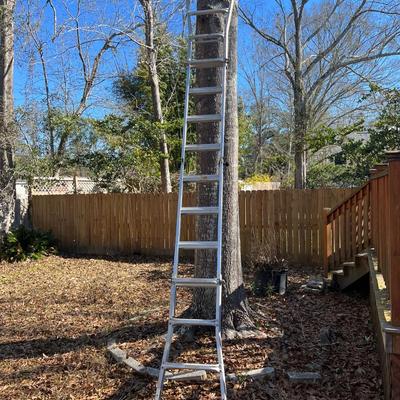 Adjustable Metal Ladder