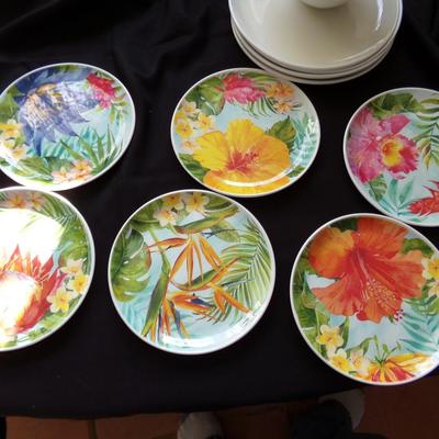 SET OF DISHES; 6 BOWLS, 6 PLATES, 4 LARGE PLATES.