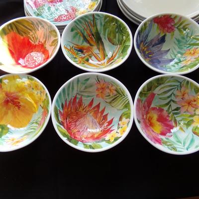 SET OF DISHES; 6 BOWLS, 6 PLATES, 4 LARGE PLATES.