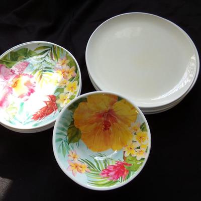 SET OF DISHES; 6 BOWLS, 6 PLATES, 4 LARGE PLATES.