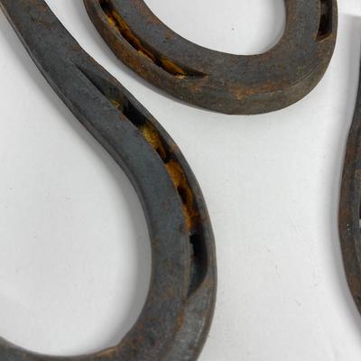 Set of horseshoes