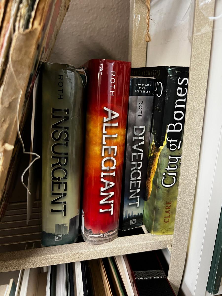 3 Shelves of Books Cooking, Dictionary, Novel Children's