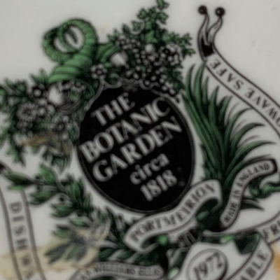 8â€ Port Meirion Pitcher Botanic Garden