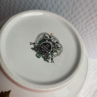 8â€ Port Meirion Pitcher Botanic Garden