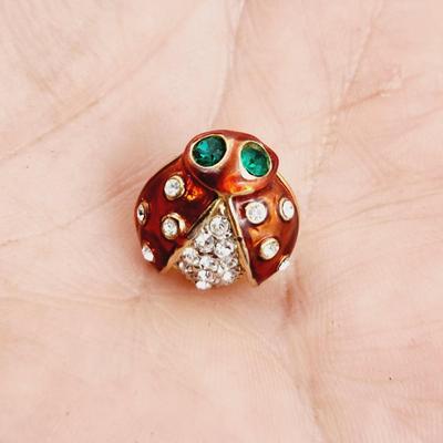 CUTE GLAZED PAINTED LADY BUG PIN