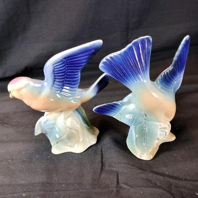 Pair of Bluebirds