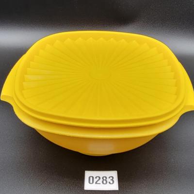 Vintage Tupperware Container