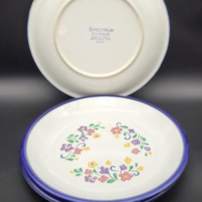 Spectrum Stoneware Plates
