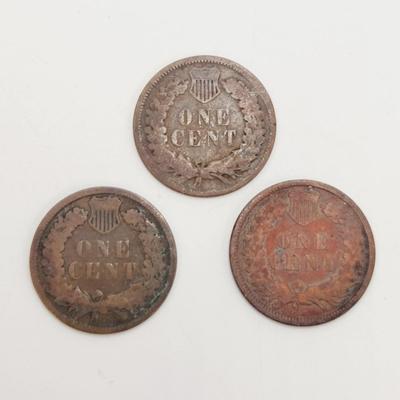 3 - 1886 INDIAN HEAD PENNIES