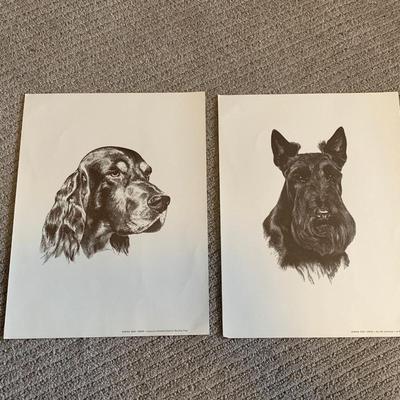 6 Purina Dog Chow Famous Dog Portraits