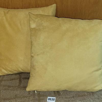 Pair of Throw Pillows
